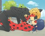 LadyBug (Marinette Dupain-Cheng) & Chat Noir (Adrien Agreste